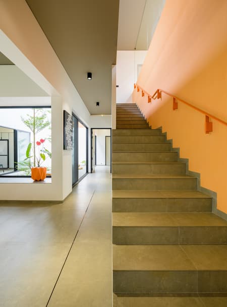 The Colour Burst House